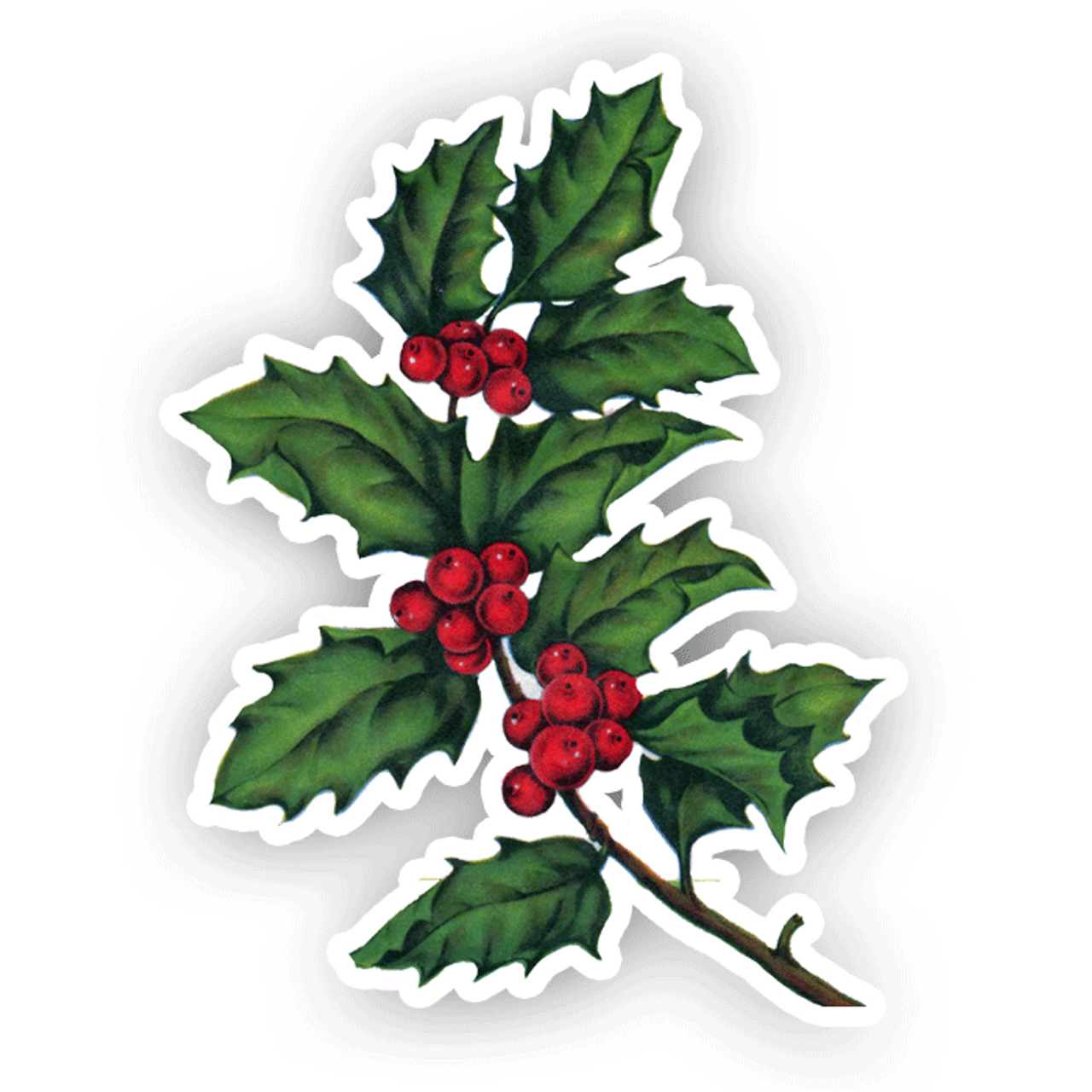 Download Black and White Ornamental Holly Leaf Drawing PNG Online -  Creative Fabrica
